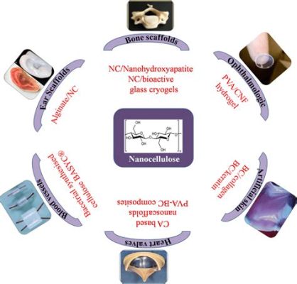  Nanocellulose: Ein Wundermaterial für Leichtbau und Biomedizinische Anwendungen!