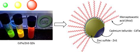  Quantendots: Nanotechnologisches Wunderwerk für Hochwertige Displays und Effiziente Solarzellen!