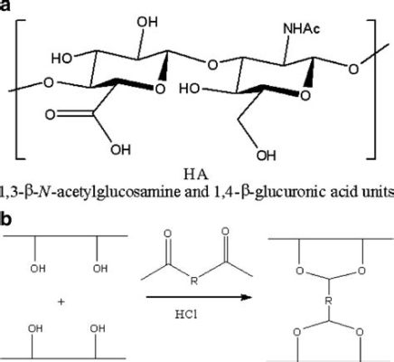  Hyaluronic Acid: Ein vielseitiger Polysaccharid für pharmazeutische und kosmetische Anwendungen!